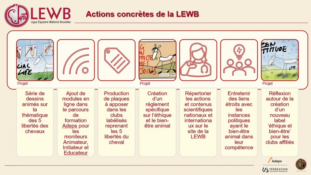 Actions concrètes