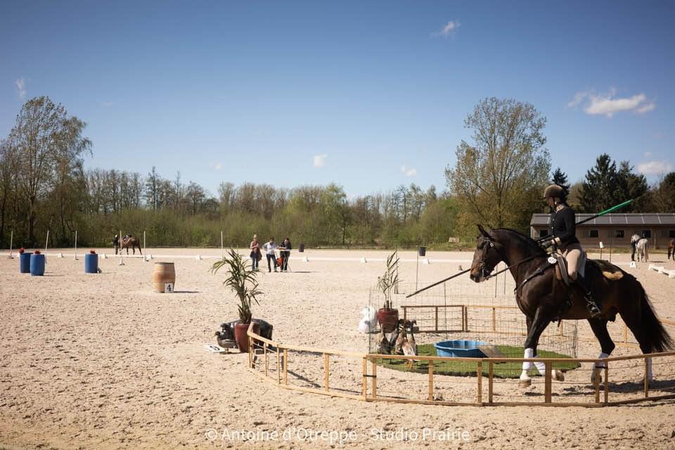 Equitation de Travail @Antoine d'Otreppe - Studio Prairie