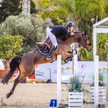 Constant Van Paesschen (Photo : Van Paesschen Equestrian Center)