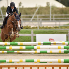 Luiz Felipe Neto de Azevedo