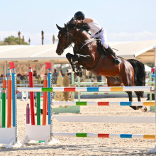 Constant Van Paesschen