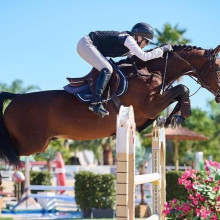 Fabienne Daigneux-Lange