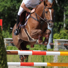 Jean-Jacques Lorquet (Photo: Tops International Arena)