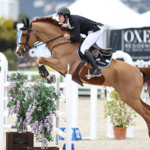 Constant Van Paesschen (Photo : Van Paesschen Equestrian Center)