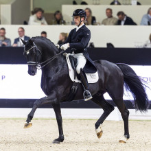 Justin Verboomen et Zonik Plus (© FEI/Leanjo de Koster)