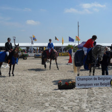 Remise des prix des 5 ans