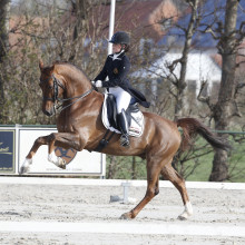 Charlotte Defalque - Botticelli