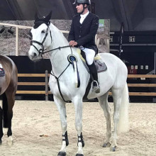 Gaëtan Stalpaert (Photo : GS Stables)