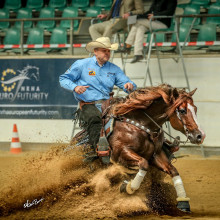 Bernard Fonck @Cavalor