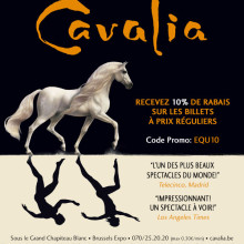 réduction Cavalia