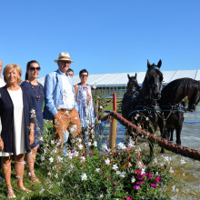 Ch. Belgique Attelage Elsegem - credit © Mark Wentein – Hippo Revue