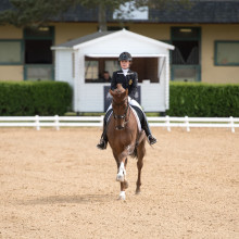 Charlotte Defalque - Botticelli - CDI Saumur 2017 - Patricia Rahier (c)