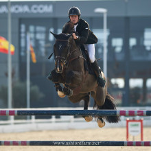 Constant-Van-Paesschen - Compadre Van de Helle - 2016