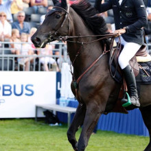 Constant Van Paesschen