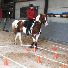 Les Coudriers découvrent le TREC