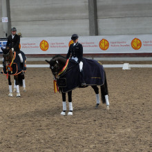Dominique Mohimont - El Corona Texel