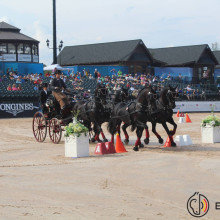 Edouard Simonet - Attelage à 4 chevaux - JEM Tryon 2018 @Equifans