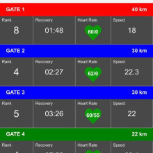 Elisabeth Hardy et Nidjava du Caussanel - CEI2* 120 km à Pamiers 17-11-2018