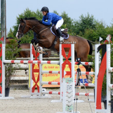 Eragon OM - Championnat des Jeunes Chevaux de Belgique 6 ans - Gesves 2016 - Polilux (c)