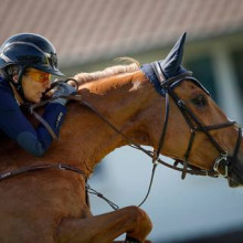 Fabienne Daigneux-Lange - Venue d'Fées des Hazalles