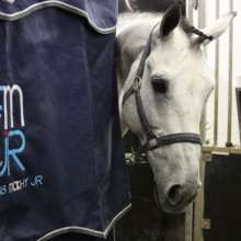 Casanova de l'Herse (c) Site web www.francoismathy.com