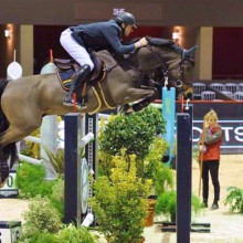 Grégory Wathelet - Forlap