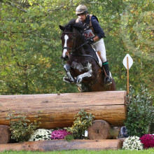 Geoffroy de Jamblinne - Consequent Pia Z - CH-M-YH 2017 - 7 ans  - Lion d'Angers (c) Uptown Eventing