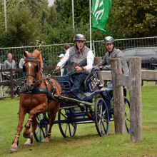 Gilles Pirotte - 1 Poney à Ch Monde Minden (c) Attelage Infos