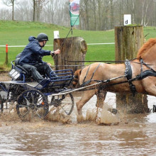 Mené par Gilles Pirotte, Rubens remporte le CAI3* d'Exloo du haut de ses 21ans.