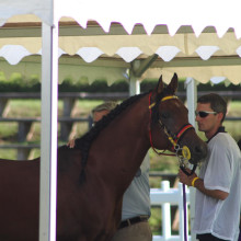 Jean-Philippe Cohard