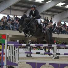 Dominique Joassin (© Jumping de Dunkerque)