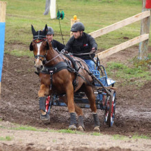 Jonathan Meuwis - CAI 2* Selestat @Facebook Jonathan Meuwis