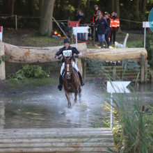 Julien Despontin - Clever Boy Waf - Stzegom octobre 2017 - Equnews (c)