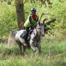 Karin Boulanger et Ghaliyah du Courtisot - CEI1* 100 km de Madine @Facebook PA
