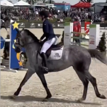 Lara de Liedekerke lors de la remise des prix à Baborowko