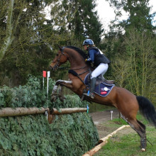 Lara de Liedekerke - Ducati van den Overdam - Arville 2016