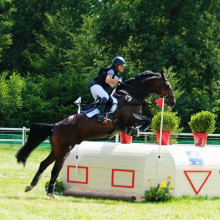 Lara de Liedekerke-Meier