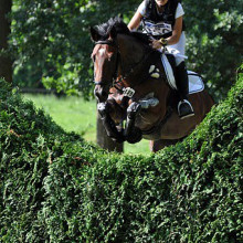 Lara de Liedekerke-Meier