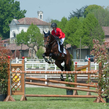 Lara de Liedekerke et Averouge des Quatre Chênes - CIC3 Vairano (ITA) - vairanocic.it (c)