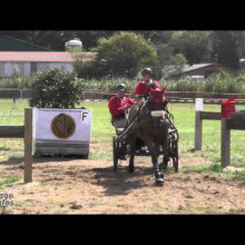 Laure Philippot (c) Attelage Infos