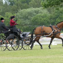 Laure Philippot - Bornem - @ photo Marc Van Der Speeten
