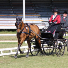 Laure Philippot - CAI