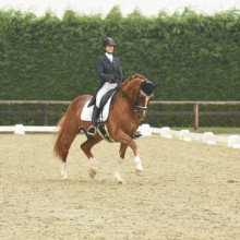 Laureen Poncelet - Andretti 13 (c) Patricia Rayer Photo