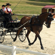 Laure Philippot @ Thibaut Danthine