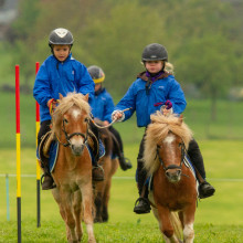 Minis du Rond-Puits - Pony Games @Equiflash.be
