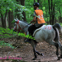 Nicolas Willems 2018 @ Léonard Liesens