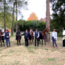 Vetcheck Pau Attelage @Attelage Infos 20-10-2020