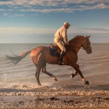Philippe Le Jeune et Vigo d'Arsouille