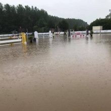 Haras du Rivage - Hannut