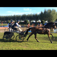 Pierre-Manuel Brasseur - Septembre 2015